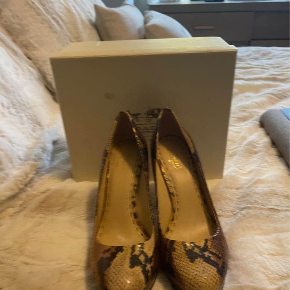 Coach pumps - Python size 8 - Picture 4 of 4